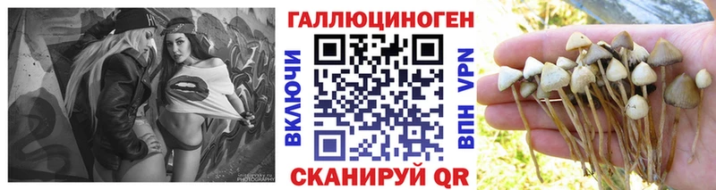 Псилоцибиновые грибы мухоморы  KRAKEN ссылка  Пугачёв 